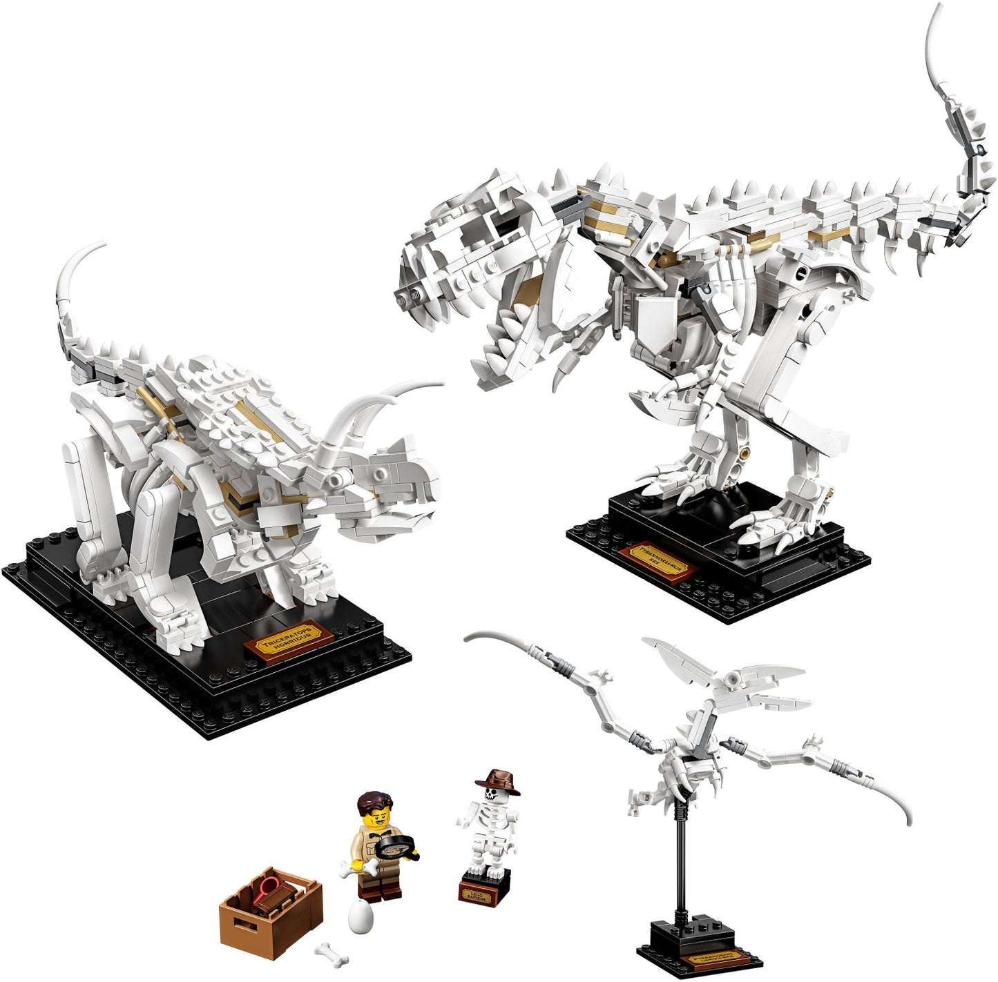 LEGO Ideas - Dinosaurier-Fossilien (21320)