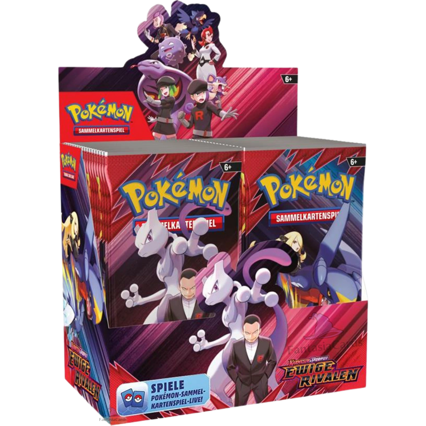 Pokemon Ewige Rivalen Display DE